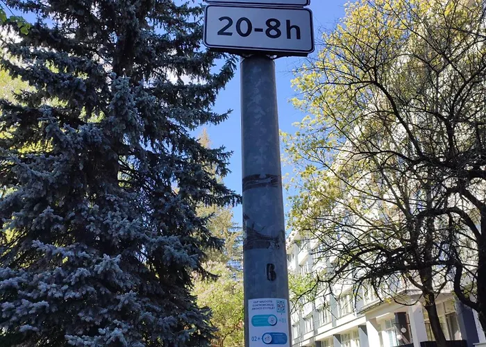 Shortstopstudent Daire