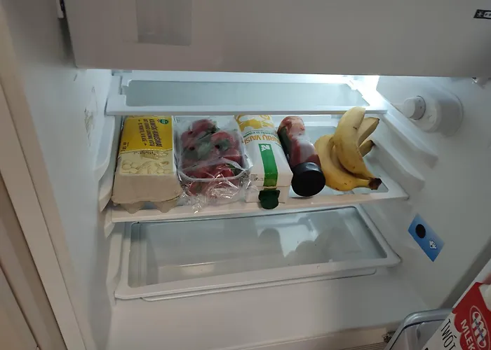 Shortstopstudent Daire Vilnius